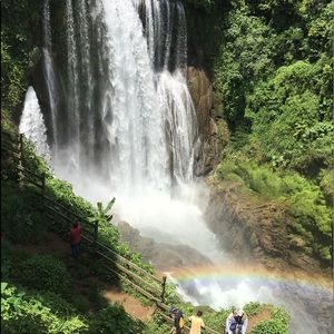 Meet your Posher, Ivy